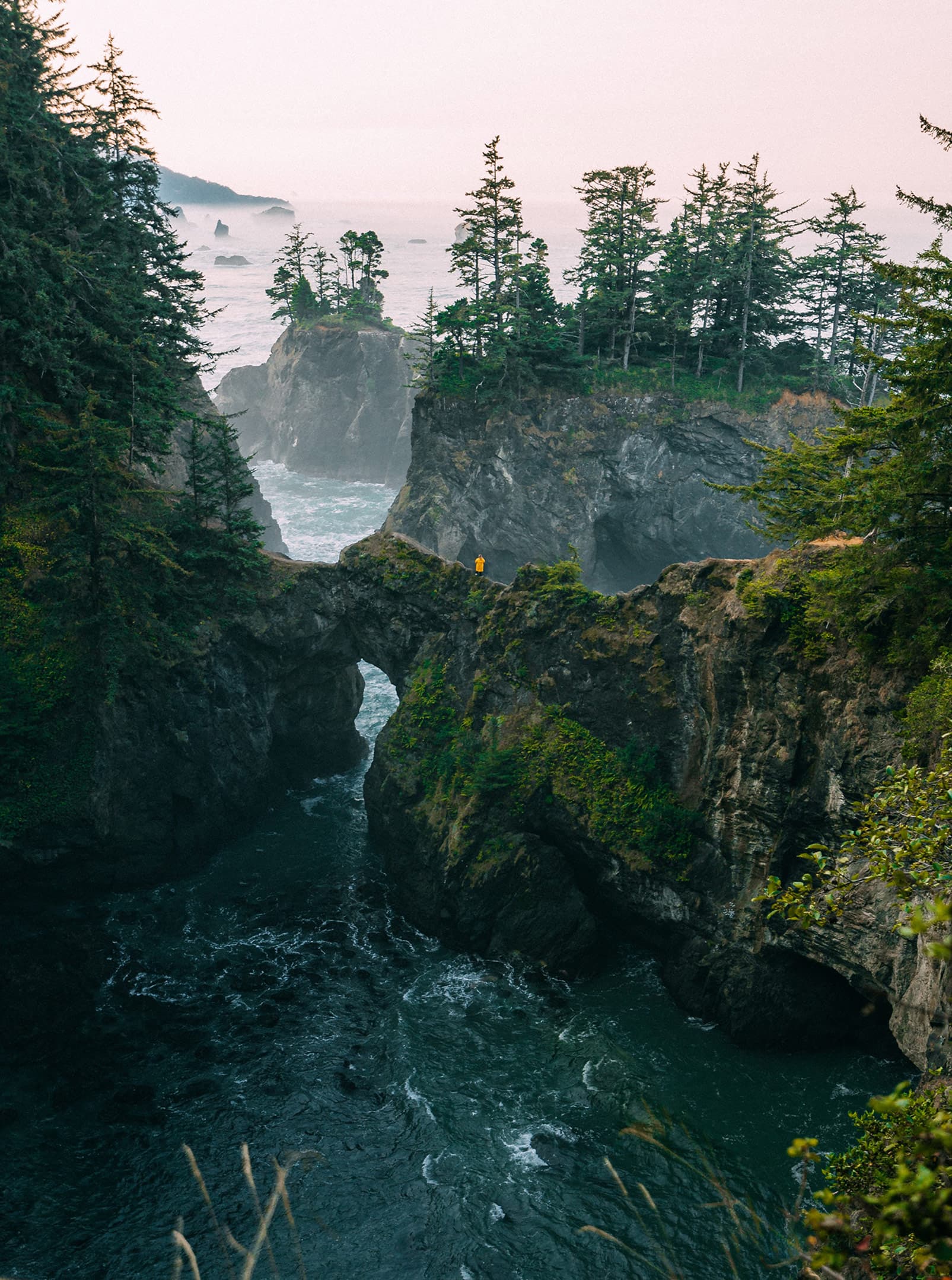 2fifty9 Side Bar min