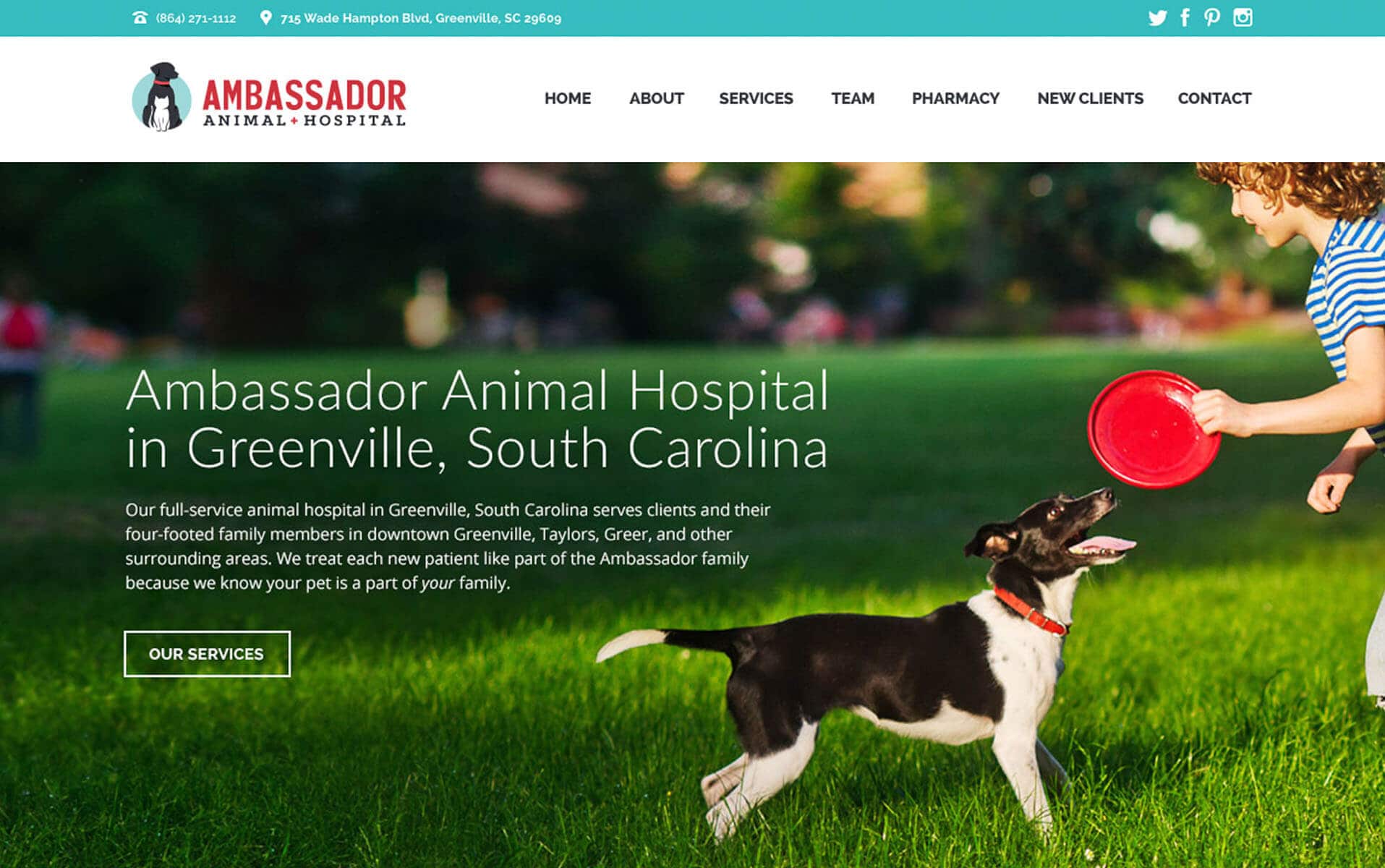 ambassador animal hospital website laptop stillshot