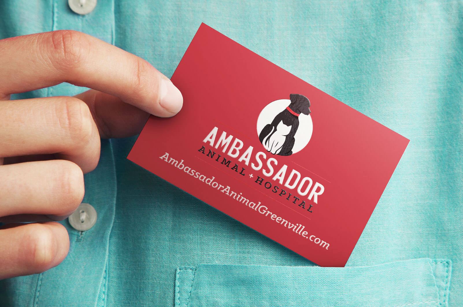 ambassador animal hospital two work gallery